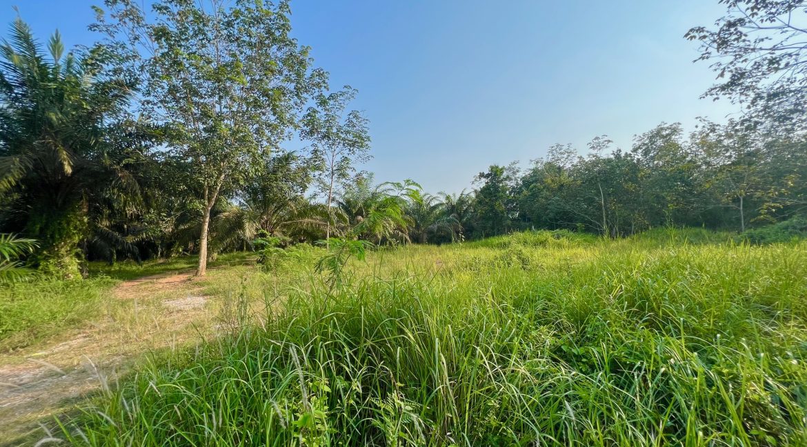 Ejen Hartanah Melaka_Ejen Tanah Jasin Kemengkang Melaka_Ejen Tanah Melaka Hairil Wahiri_GuruHartanah 6