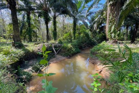 Ejen Tanah Kampung Kemengkang Jasin Melaka_Jual Tanah Jasin Melaka