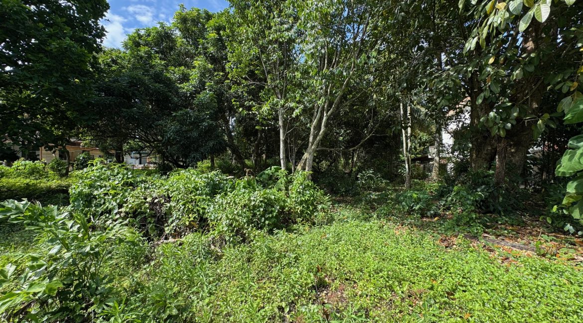 Ejen Tanah Kesang Jaya_Kesang Tua Jasin Melaka_Tanah Untuk Dijual di Kampung Kesang Jaya_Kesang Tua Melaka_Hairil Wahiri 5