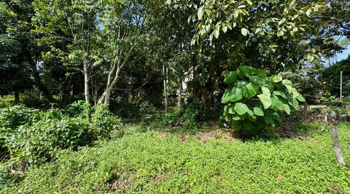Ejen Tanah Kesang Jaya_Kesang Tua Jasin Melaka_Tanah Untuk Dijual di Kampung Kesang Jaya_Kesang Tua Melaka_Hairil Wahiri 6