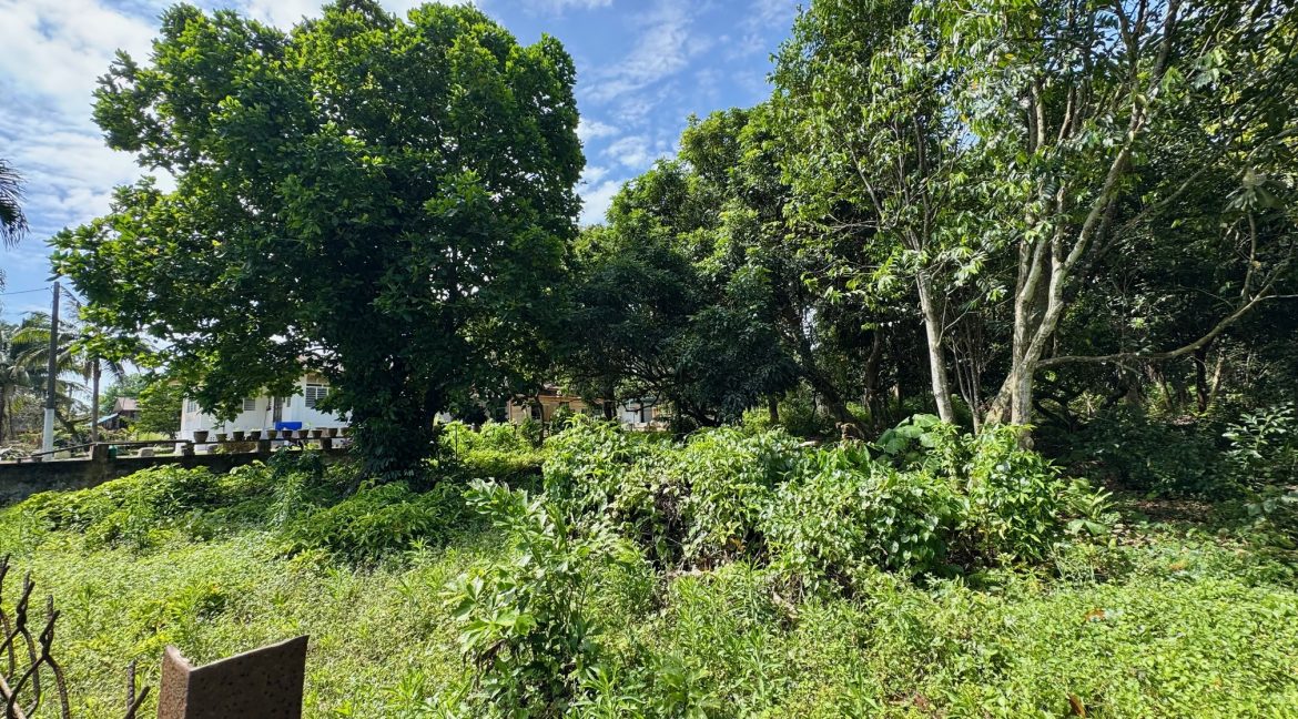 Ejen Tanah Kesang Jaya_Kesang Tua Jasin Melaka_Tanah Untuk Dijual di Kampung Kesang Jaya_Kesang Tua Melaka_Hairil Wahiri 7