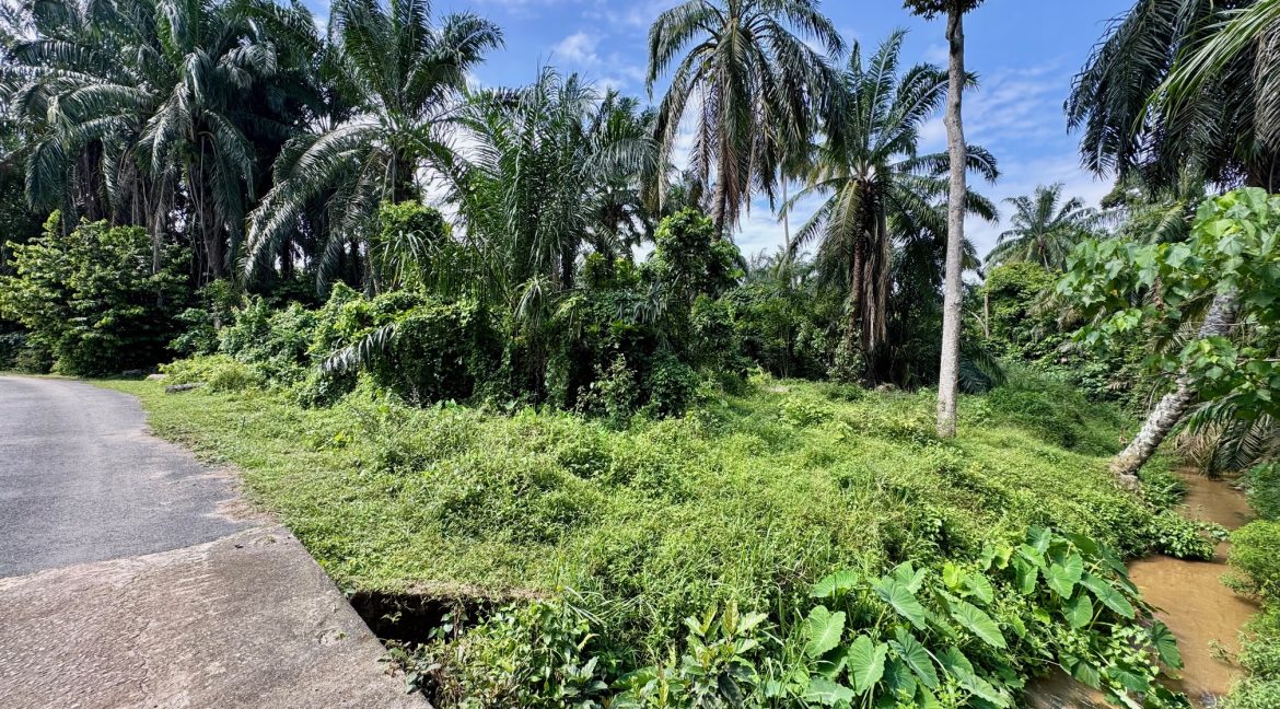 Tanah Untuk Dijual Kampung Kemengkang Kesang Jasin Melaka. Ejen Tanah Melaka.